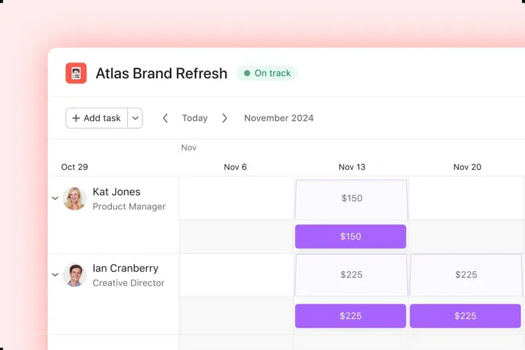 Asana: Timesheets and Budgets