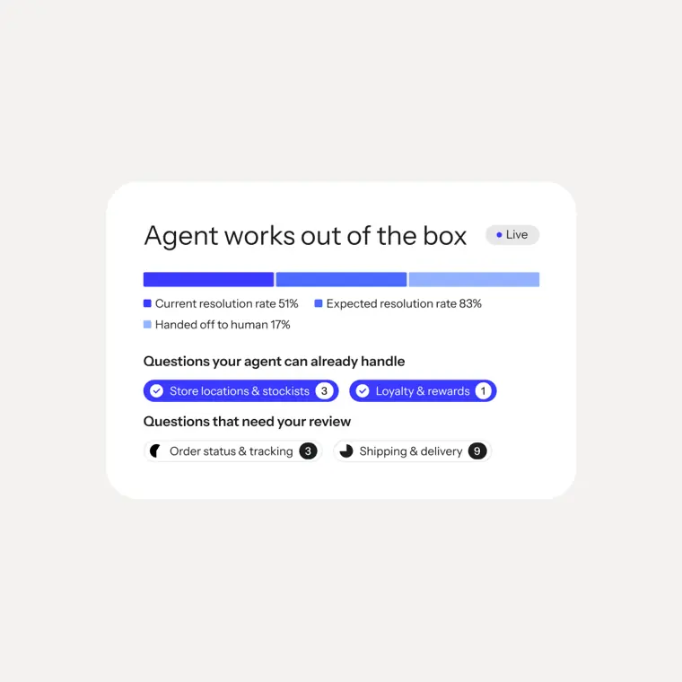 Klaviyo: Customer Agent