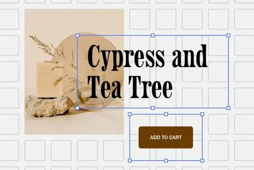 Squarespace: Fluid Engine editor
