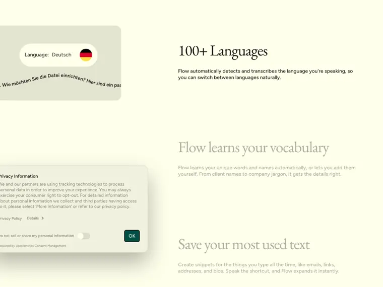 Wispr Flow: Multilingual transcription